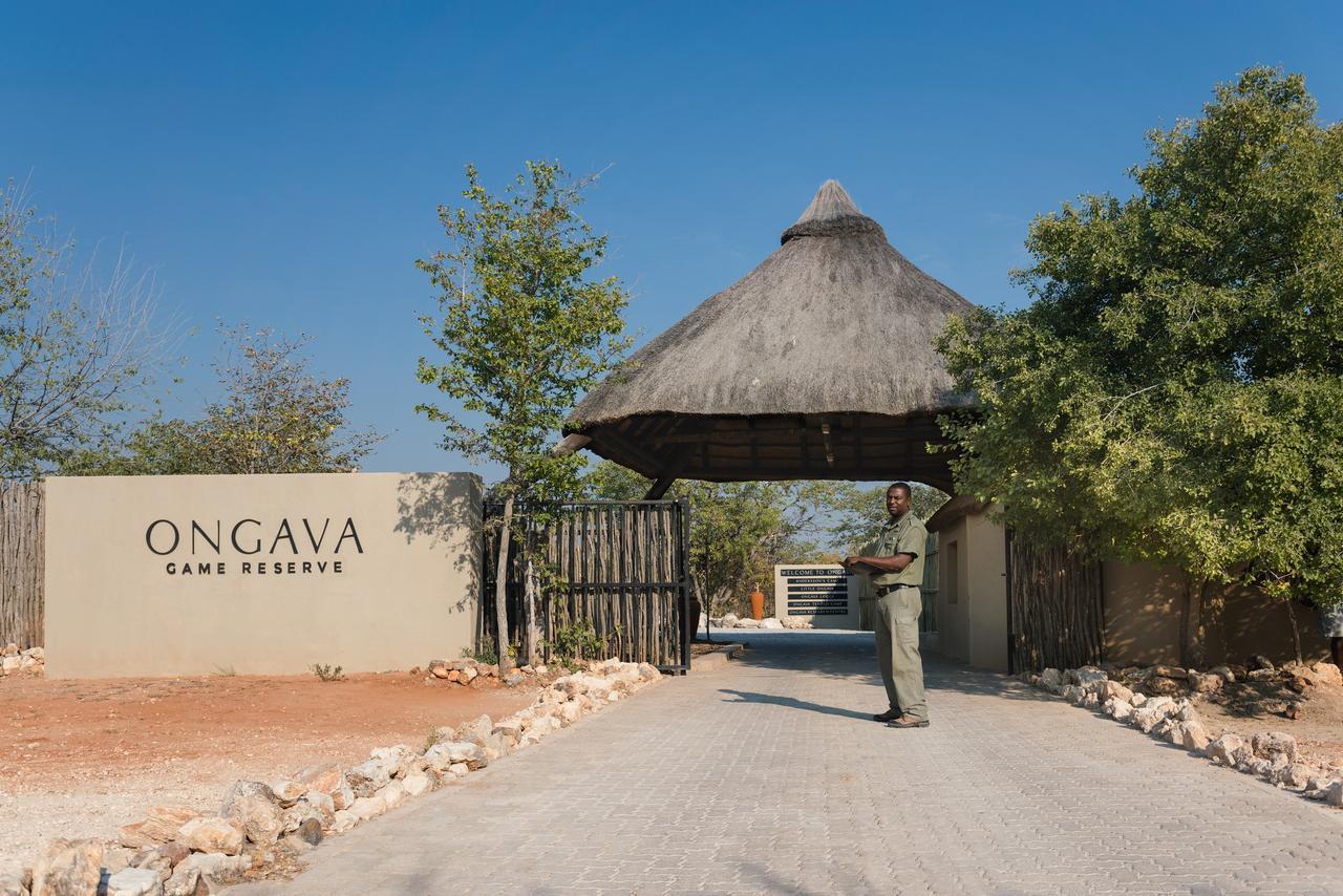 Ongava Lodge โอเคาเควโย ภายนอก รูปภาพ